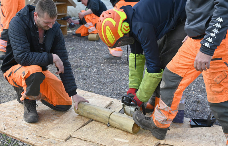 Photo représentant des salariés du chantier d'insertion de l'Intercom Bernay Terres de Normandie coupant du bois